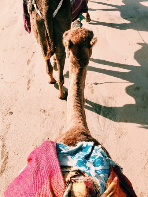 Processed with VSCO with c1 preset